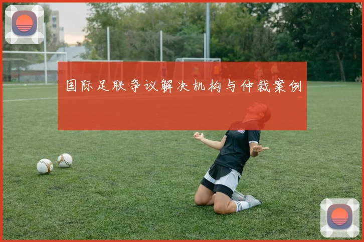 国际足联争议解决机构与仲裁案例