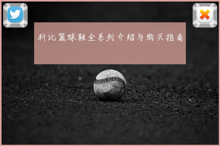 科比篮球鞋全系列介绍与购买指南