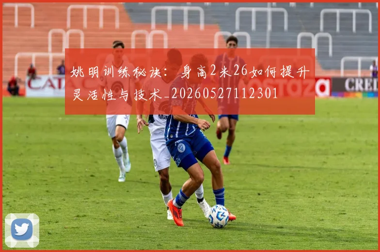 姚明训练秘诀：身高2米26如何提升灵活性与技术_20260527112301